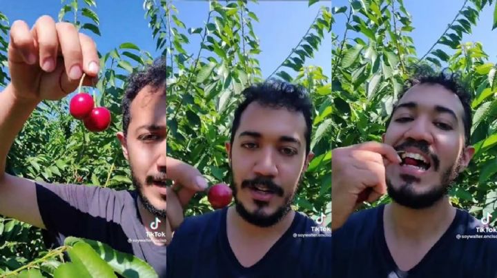 Mexicano revela trabajar 4 meses cosechando cerezas en Canadá y vivir como rey durante un año entero