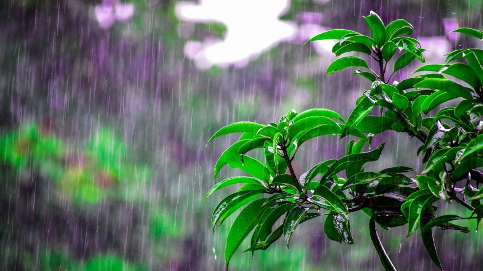 Las sustancias que se pueden encontrar en el agua son compuestos químicos