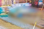 Sin identificar mujer que murió arrollada