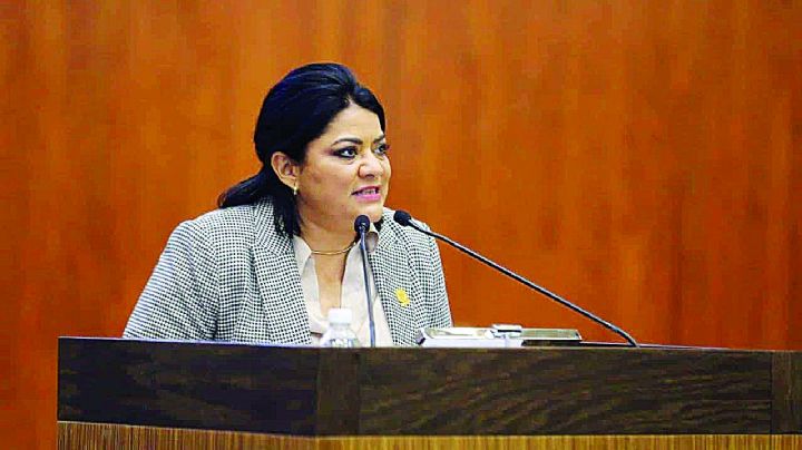 Tumba el Tribunal reformas del PAN