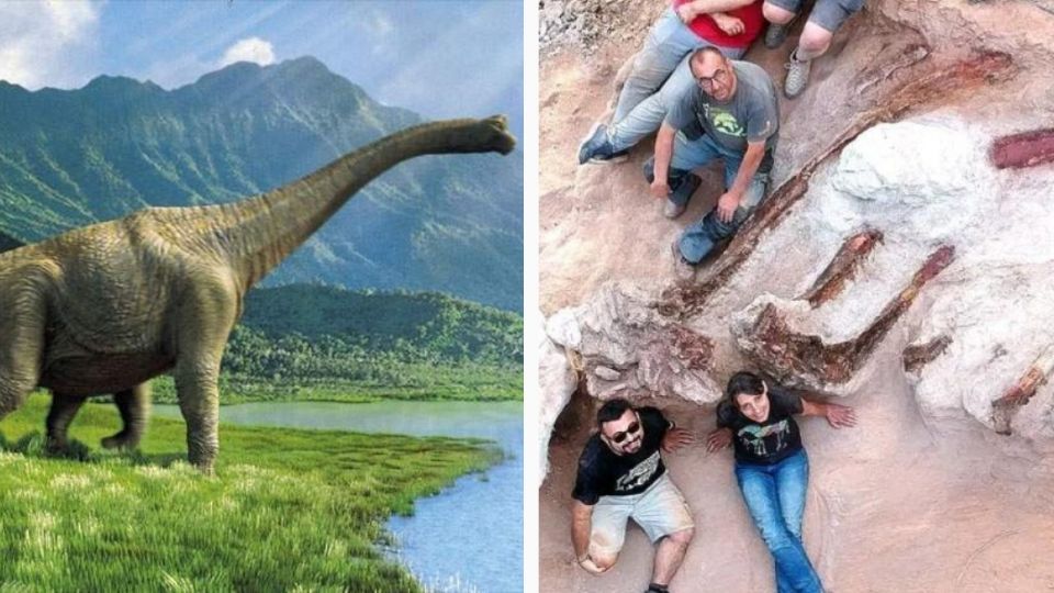 Los Saurópodos son un grupo de dinosaurios, los más grandes que han habitado en la Tierra