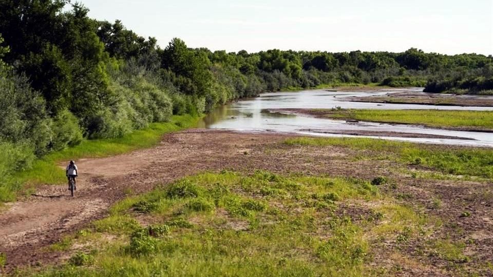 El Pez Carpa Chamizal se encuentra en peligro de extinción