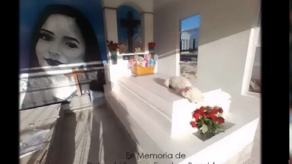 Bombona sigue muy triste por la muerte de Debanhi