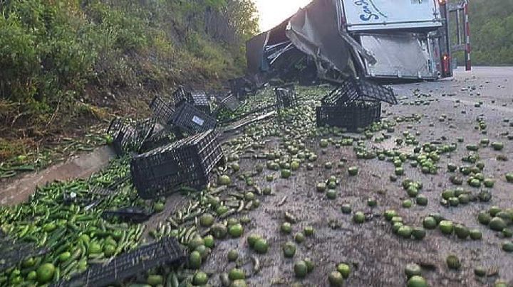 Vuelca tráiler con chile y tomatillo en Tamaulipas; rapiñeros se llevan la carga en minutos