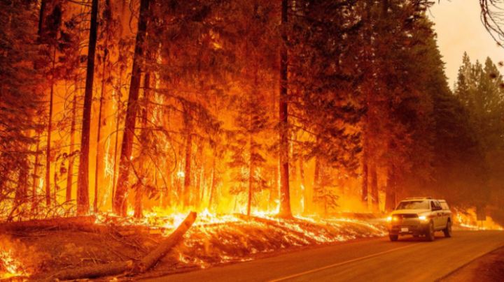 Voraz incendio en California calcina 17 mil hectáreas de bosque