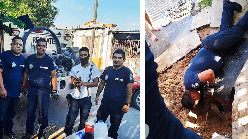 Bomberos le salvan la vida a un cachorro