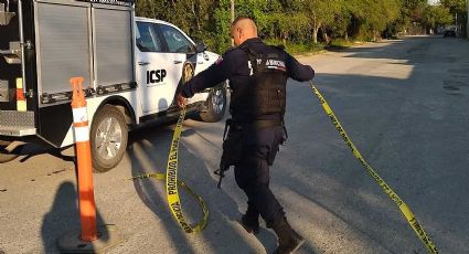 Bolsas con restos humanos halladas frente a una escuela eran de custodios