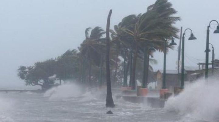 Nuevo ciclón tiene trayectoria hacia Tamaulipas y Nuevo León