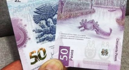 Venden hasta en 3 millones de pesos billete de 50 del ajolote; ¿qué características tiene?