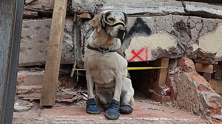 El sismo del 19 de septiembre 2017: la coincidencia macabra