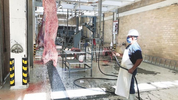 Duplica Rastro producción en el último año