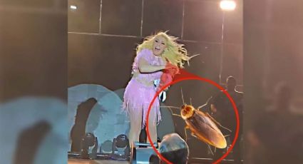 Yuri rompe el silencio tras ataque de cucaracha en la ceremonia del grito | VIDEO