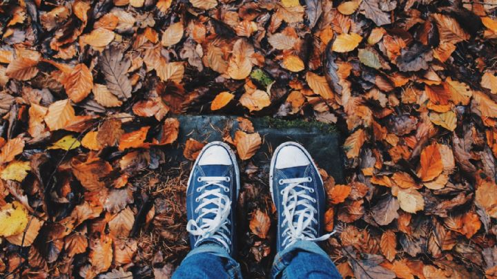 Equinoccio de otoño 2022: ¿Qué es y cuándo ocurrirá?