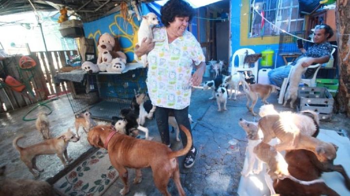 Vive con 117 perros y 18 gatos en  Lomas del Río | VIDEO