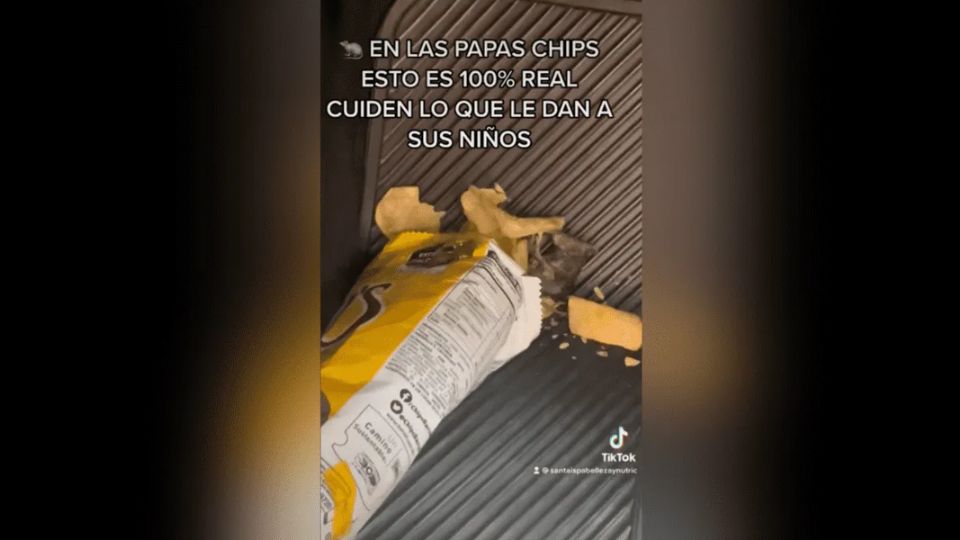 Mujer abre bolsa de Chips y halla rata muerta