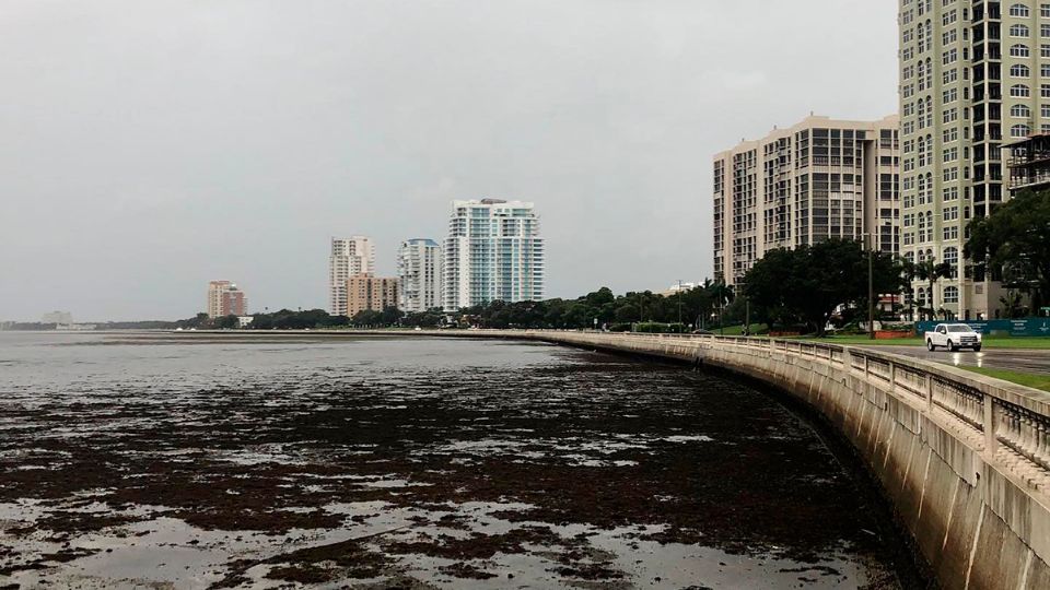 El mar de florida 'desapareció' antes del huracán Ian