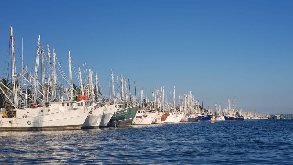 Ya se encuentran listos para zarpar los barcos camaroneros al terminar la veda