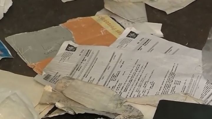 Desorden, un gato y moscas en la casa donde vivía el agresor de Cristina Kirchner