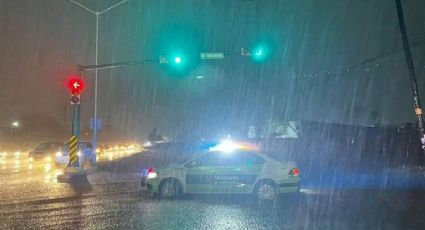 Tormentas en Nuevo León dejaron arroyos desbordados y hasta un oso deambulando | VIDEO