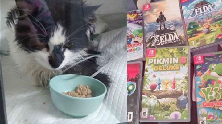 Gamer vende sus videojuegos para salvar la vida de su gatita
