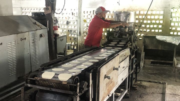Volverá a subir precio de la tortilla, advierten productores de Nuevo Laredo
