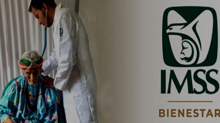 IMSS-Bienestar cuenta con 6 mil 664 parteras, 754 médicos tradicionales y 15 mil 775 voluntarios rurales