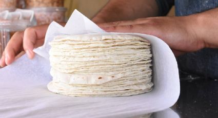 ¡Aumenta la tortilla! Este será su precio por kilo en estos estados