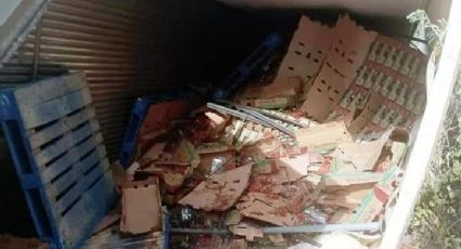 Tráiler que llevaba fresas a Reynosa acaba volcado; unidad estuvo cerca de caer a barranco