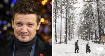 En estado crítico Jeremy Renner, actor de Marvel que personifica a "Ojo de Halcón"