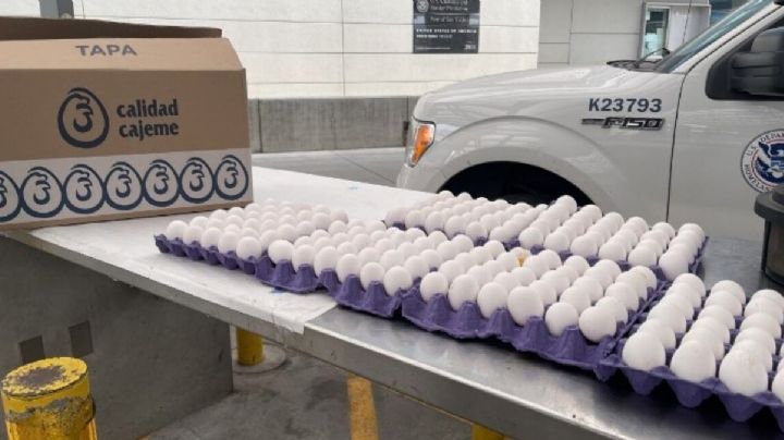 Tráfico de huevos a EU es tan ilegal como cruzar fentanilo