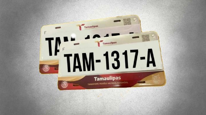 Placas Tamaulipas: pago en línea y requisitos, evite filas en trámite