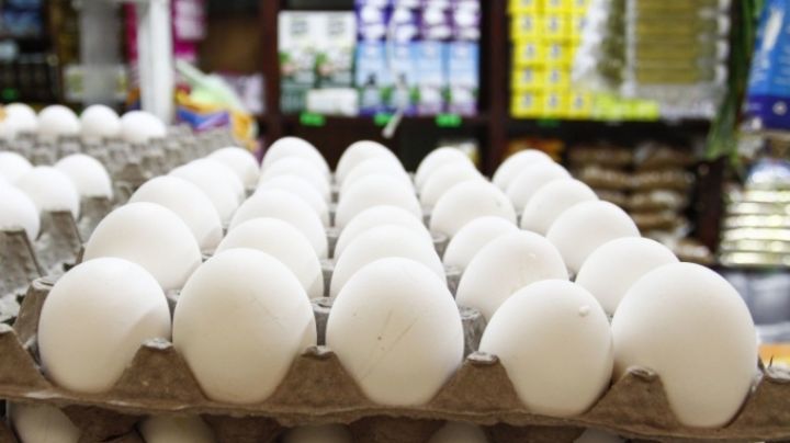 ¿Cuáles son las peores marcas de huevo?; esto dice Profeco