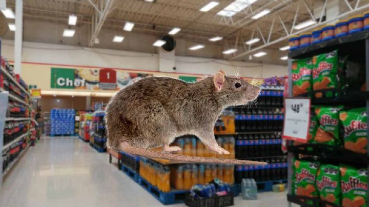 Soriana de Nuevo Laredo: denuncian plaga de ratas en tienda | VIDEO