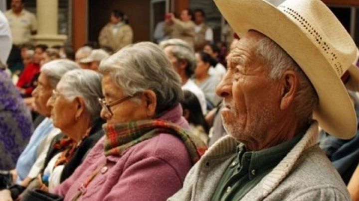 Así se pagará la Pensión Bienestar del Adulto Mayor en Tamaulipas; éstas son las fechas