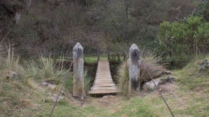 Colapsa puente colgante con turistas en Chiapas | VIDEO