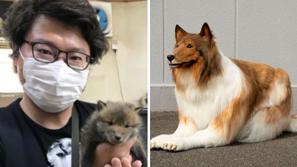 Toko-san cumplió su sueño se convertirse en perro