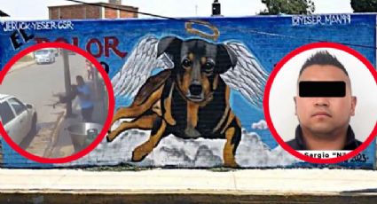 Dan sentencia a hombre que arrojó a perrito a aceite hirviendo; esta es su condena