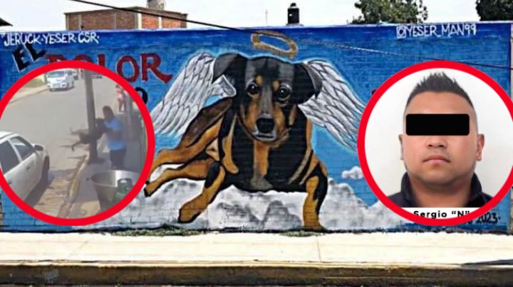 Dan sentencia a hombre que arrojó a perrito a aceite hirviendo; esta es su condena