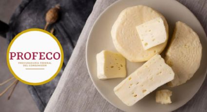 Profeco: este es el queso con más proteína, menos grasa y más barato recomendado