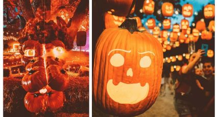 Pumpkin Nights 2023: recorrido entre calabazas en una granja tenebrosa de Texas