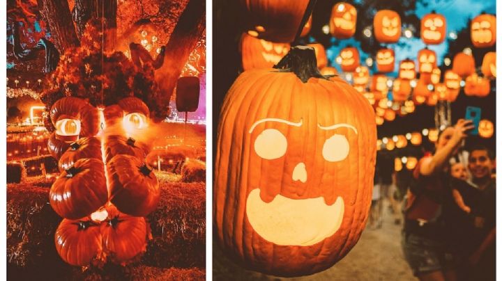 Pumpkin Nights 2023: recorrido entre calabazas en una granja tenebrosa de Texas