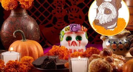 Día de Muertos: ¿cuándo se prepara el altar para recibir a las mascotas que ya partieron?