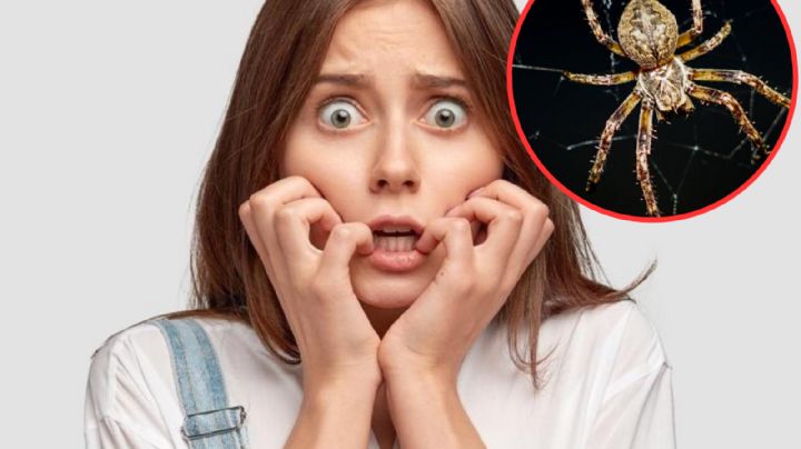 Para asustarse; conoce las 7 fobias más comunes en México