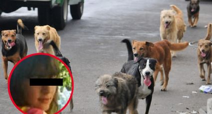 Jauría de perros atacan y matan a una joven; estaba hablando por teléfono con su madre