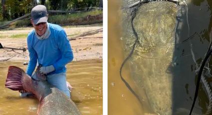 Capturan gigantesco catán en Texas y pescadores rompen 4 récords mundiales