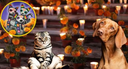 Día de Muertos: ¿Cuándo llegan las mascotas fallecidas a visitarnos?