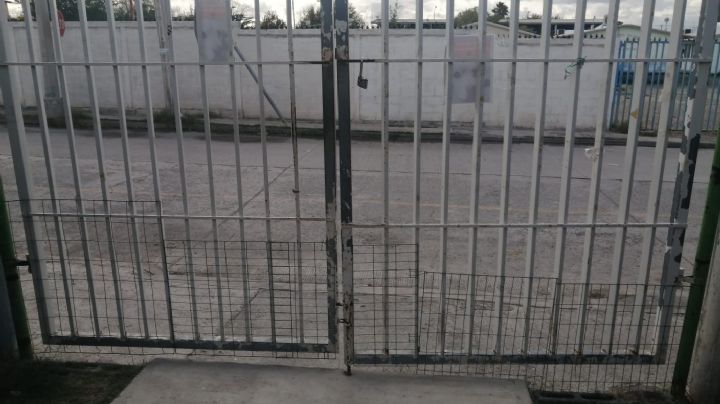 En escuelas no debe haber perros: Crede