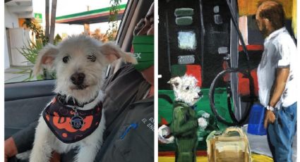 Matan a Gasolin, el perrito que cuidaba una gasolinera de Baja California