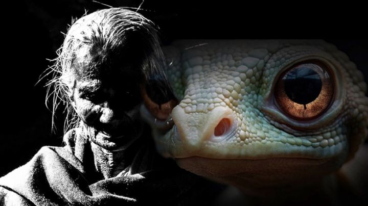 La Bruja Chana, la curandera más enigmática de Bustamante, Nuevo León