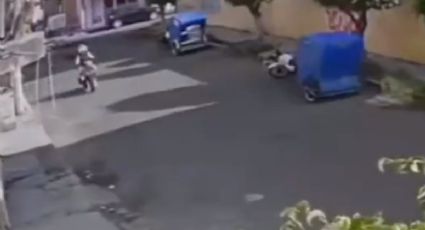 Perro se lanza desde azotea y derriba a motociclista | VIDEO